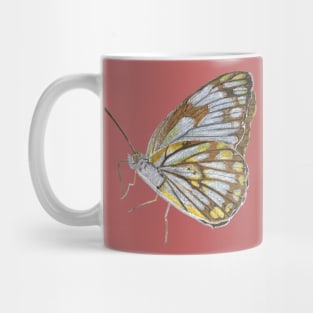 Color pencils hand-drawn butterfly Mug